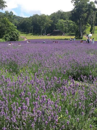 暑～い毎日からの脱出！涼とお花巡りの日帰り旅行