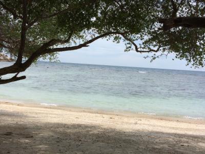 2015年サバーイ　タオ島＆サムイ島②ビーチを探すの巻
