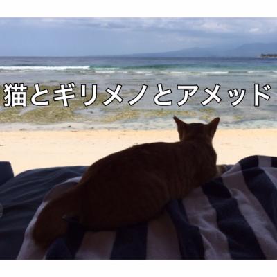 猫とギリメノとアメッド