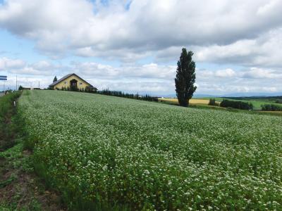 2015年7月　北海道(8)美瑛、稚内