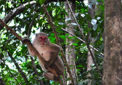 タイ旅行２日目　カンチャナブリー　エラワンの滝でたっぷりマイナスイオン