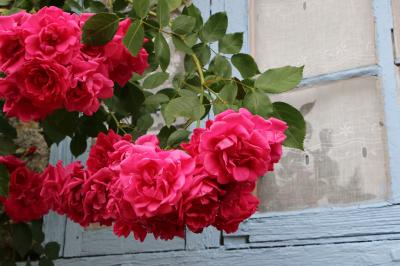 2015 フランス北西部を巡る旅（２）『フランスの最も美しい村』ジェルブロワは《薔薇の村 》☆Gerberoy