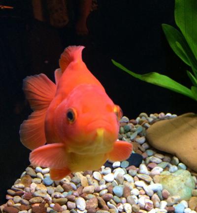 また来たよ♪香港