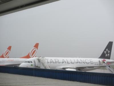 色んな飛行機を見て楽しんだ