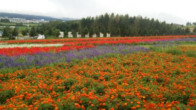 はじめての北海道（3日目① 旭山動物園、富良野編）