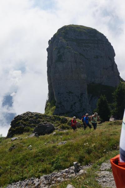 2015年　スイス　ハイキングの旅♪②（シーニゲ・プラッテ　　パノラマコース）