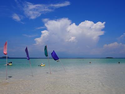 セブ・パシフィック♪青い海とはじめてのダイビング(・∀・)３、４日目