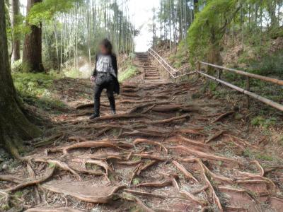 東北へ　平泉の街をレンタサイクルで回りました・・・