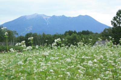 2015.8　暑さ逃れ、涼し開田高原へ