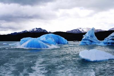 パタゴニア周遊記　vol.11　エル・カラファテ - Rios del Hielo