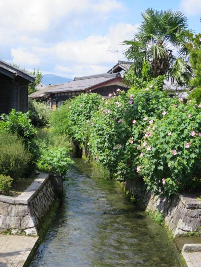 子どもと一緒に楽しむ、水と生きる川端のある町・針江～近江のむかし町をあるく～