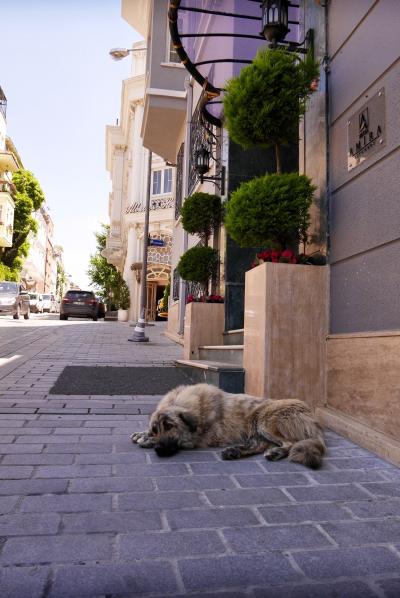 神話とモスクの世界へ(10)~ Istanbul Again