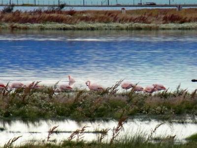 パタゴニアの玄関　エル・カラファテへ