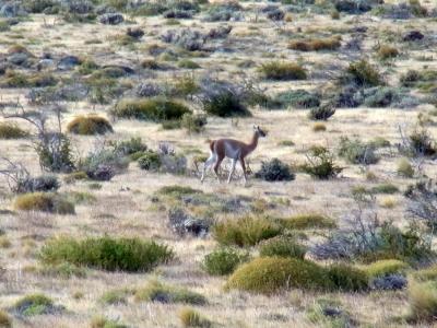 アルヘンティーノ湖畔の謎の洞窟　エル・カラファテ