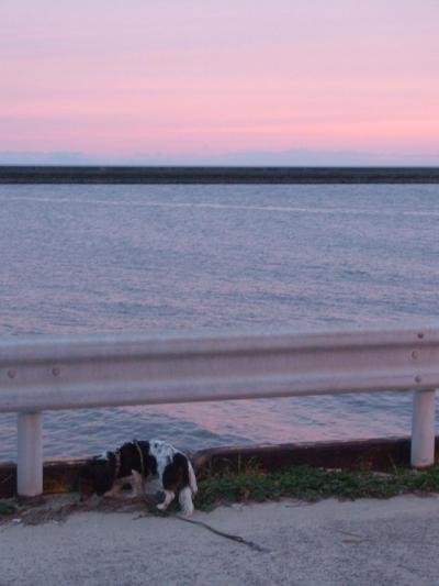 ひとりぶらり旅( ^ω^)・・・ くにみ 海浜公園