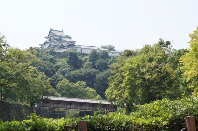 夏旅☆4歳児と南紀白浜3泊4日≪和歌山城と貴志川線≫