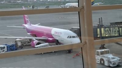 ピーチ航空羽田就航記念弾丸台北