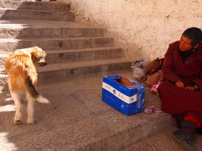 チベット・ラサ苦行ツアー（５）　ラサ2日目は、3名不参加(>_<)で、6名だけの寂しい一日となりました…。