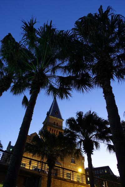 予期せぬシドニー ~ NYEカウントダウン③