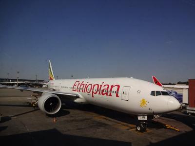 【2015夏旅行】　ブラジル１週間（番外編）　～エチオピア航空　搭乗記～