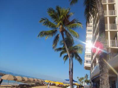 ハプニング続きのドタバタハワイ旅行☆その８