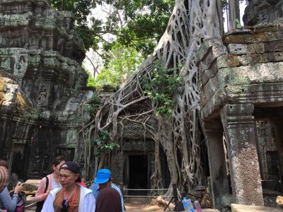 アンコールワットへの道