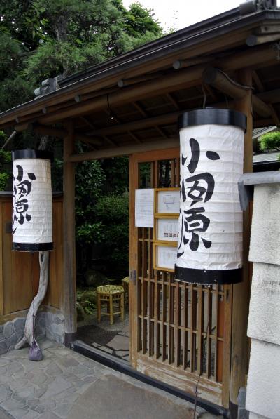 晴天の水無月 伊東･小田原の旅 【後編：小田原】