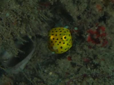 ちゅ～!!3年ぶりに串本来たぞ!!