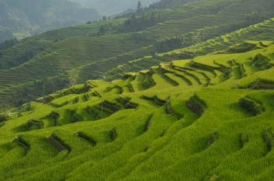 貴州再訪 田舎の夏休み。<2/4>