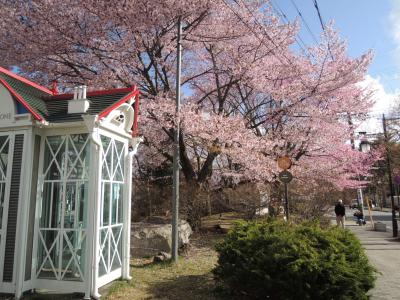 妊娠８か月軽井沢１泊のんびり旅