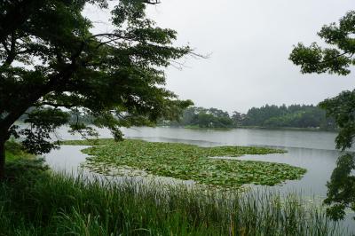 宇都宮から白河までのちょい旅行（二日目・完）～白河の街歩きって、寺だらけ？！すべてを見せたい地元の熱い思いに支えられた観光案内の賜物です～