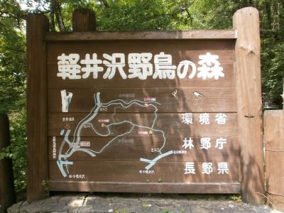 中軽井沢の野鳥の森を散策