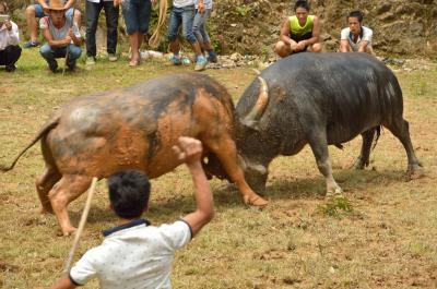 貴州再訪 田舎の夏休み。<3/4>