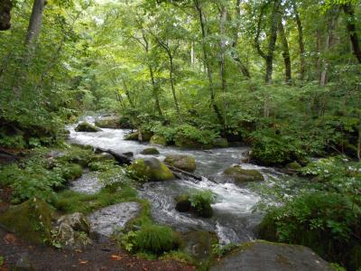 北海道周遊・青森・サハリンクルーズ③