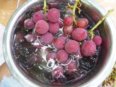 青蓮寺湖ぶどう狩り第1回2015