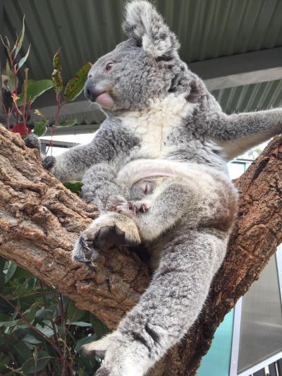ゆったり夫婦ふたり旅