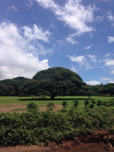 2015夏 ハワイ家族旅行⑥