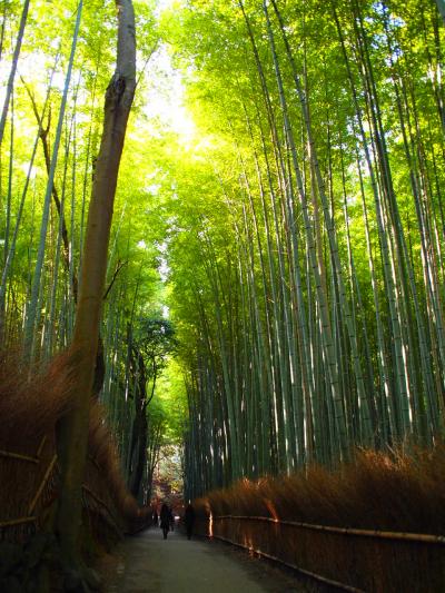 娘と2人で京都旅行④3日目　嵐山渡月橋～嵯峨野竹林の小径