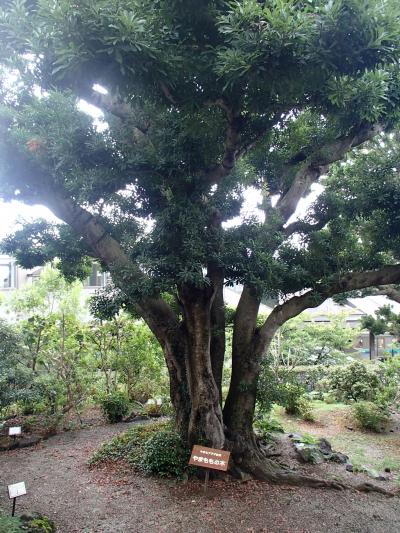 温泉に入りたーいと思い、きらの里！！二日目　下田