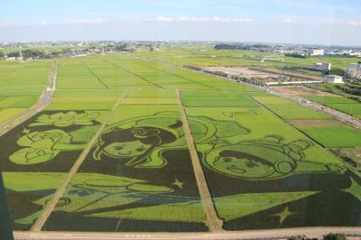 祝　ギネス認定！！世界最大の田んぼアート　行田古代蓮の里