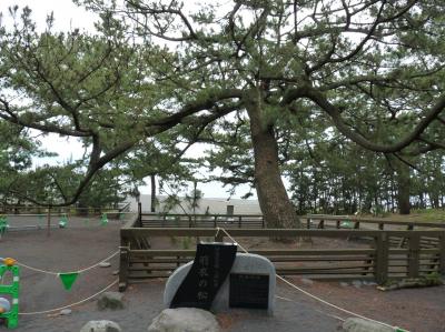 三保の松原と東海大学自然史、海洋科学博物館