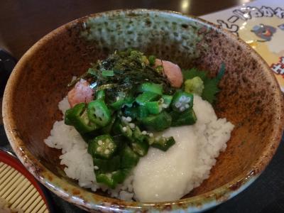 日帰り温泉バリスパやまと内　フランジパニはバリ風？　現在は閉店