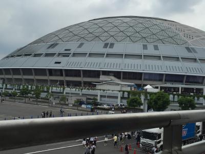 ミスチルライブツアー