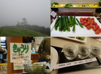 夏の終わり、長野県蓼科車山へ！～高原も絶景も星空も、霧の向こう側…～