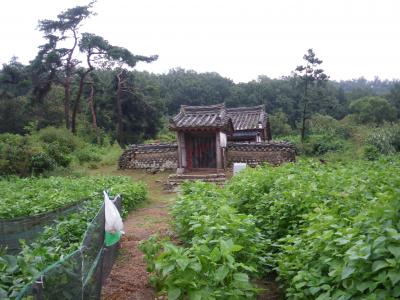 どこか懐かしい江華島の田舎道