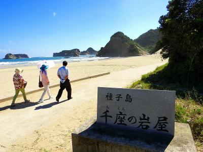 ぱしふぃっくびーなす号屋久島・種子島クルーズ：千座の岩屋・日本一のソテツ