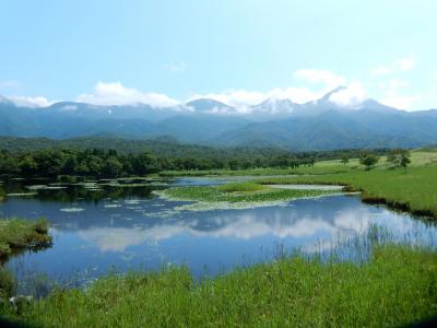 道東２０１５夏旅行記　【８】知床３（知床五湖２）