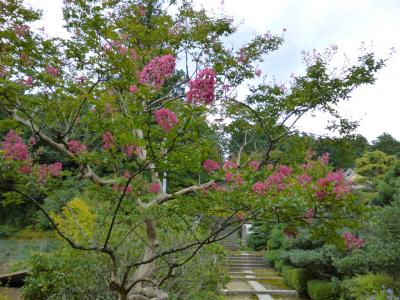 ペッチェ（百済）の香り・・・東近江市　石塔寺（いしどうじ）