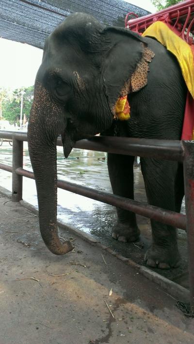 タイ・バンコク3(2日目)