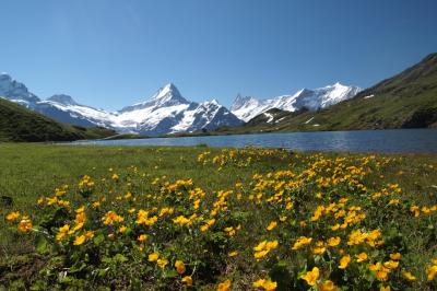 フィルストからバッハアルプゼーへ。逆さシュレックホルン！？